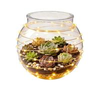 Small Candy Jar - PP 9X9X5Cm 25G | Clear Spherical Storage Bowl Sweet Treat Container | Party Snack Serving Holder | Kitchen Office Bedroom Dorm Countertop Picnic Garden Grocery Nuts Display