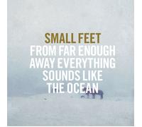 Small Feet From Far Enough Away Everything Sounds Like The Ocean (CD)