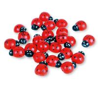 Small Foot Company 8007 Coccinelle