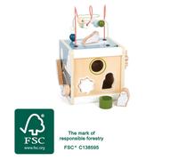 small foot cubo motorico arctic in legno FSC