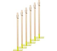 small foot Rastrelli, set da 6, verdi, in legno e metallo, attrezzi da giardinaggio adatti a bambini dai 3 anni, Colore, 12544