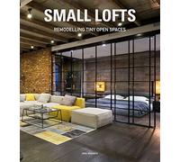 Small lofts. Remodelling tiny open spaces. Ediz. illustrata