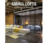 Small lofts. Remodelling tiny open spaces. Ediz. illustrata
