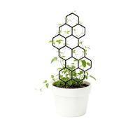 Small Plant Trellis, Potted Plant Support, Climbing Vine Trellis