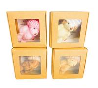 Small Plush Bear - Heartwarming Keepsake Gift, 4 pezzi Set Assortito Cuddly Miniatures, 16 cm X 16 cm Box + Inspirational Cards, Soft Touch Polyester Fibre Padding - For Nursery Shelf & Desk Decor