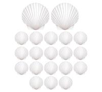 Small Shells - 20 Piece Collection, Natural Craft Decorating Supplies