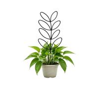 Small Trellis For Potted Plants - 2 Pieces Outdoor Ivy Pothos Support