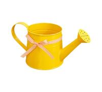 Small Watering Can, 1L Metal Decorative Plant Pot, Modern Long Spout Watering Cans, Lightweight Rust Resistant Indoor Outdoor Plant Waterer for Home Office Balcony Garden Indoor Bonsai Flowers