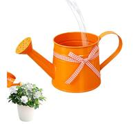 Small Watering Can, 1L Metal Decorative Plant Pot, Modern Long Spout Watering Cans, Lightweight Rust Resistant Indoor Outdoor Plant Waterer for Home Office Balcony Garden Indoor Bonsai Flowers