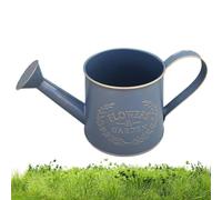 Small Watering Can - for Indoor Plants with Spout and Handle Jug