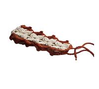 Small Women Hollow Turban Outdoor Camping Fotoshooting Nastro per capelli all'uncinetto primavera estate per viaggi