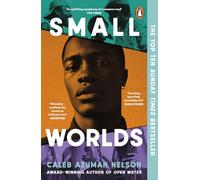 Small Worlds: THE TOP TEN SUNDAY TIMES BESTSELLER
