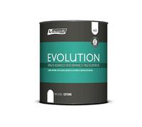 Smalto ad Acqua EVOLUTION Lt 0,750 HACCP Rio Verde Renner INTERNO - ESTERNO
