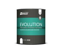 Smalto ad Acqua Evolution Lt 0,750 HACCP Rio Verde Renner Interno - Esterno - Colore Smalto: RN 2001 Seta