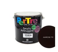 Smalto Antiruggine Lucido Protettivo Ringhiere Cancelli Applicabile su Ruggine