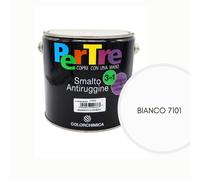 Smalto Antiruggine Lucido Protettivo Ringhiere Cancelli Applicabile su Ruggine