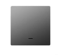 Smart 1Gang WiFi Wall Light Touch Switch Panel con telecomando wireless 2 4GHz e voce tramite app mobile (grigio)