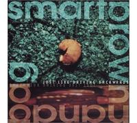 Smart Brown Handbag - Just Like Driving backwards