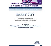 Smart City. Innovazione, impatto sociale, sostenibilità ambiental