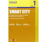 Smart city. Sostenibilità, efficienza e governance partecipata. Parole d'ordine per le città del futuro