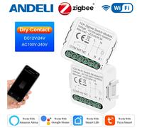 Smart Dry Contact WiFi e modulo interruttore Zigbee Smart Home fai da te interruttore relè DC 12/24V AC 100-240V compatibile con Alexa Google Home