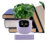 Smart Flower Pot - AI Pet Guidance on Plant Care Flowerpot | vaso per , per interni, casa, appartamento, soggiorno, camera da , balcone, patio, principianti, compleanno, San