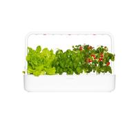 Click & Grow Smart Garden, Orto da Interno con 9 Capsule di Terreno, Illuminazione e Irrigazione Automatica, più Facile della Coltivazione Idroponica
