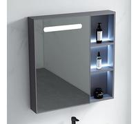 Smart LED Vanity Mirror Cabinet - Armadietto portaoggetti da parete in alluminio impermeabile con interruttore sensore corpo umano, elegante specchio per medicine da bagno con ampio spazio