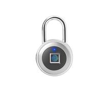 Smart Lock, Lucchetto Con Impronta Digitale Per Porta Ricaricabile USB Sblocco Rapido Metallo In Lega Di Zinco Alta Sicurezza Identificazione Per La Parte Anteriore(Silver)