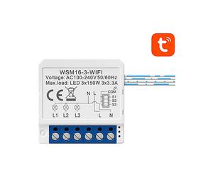 SMART PLUG AVATTO WSM16-W3 - Wi-Fi 2,4 GHz, Alexa e Google Assistant, controllo remoto