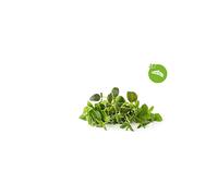 SMART PLUG EMSA Mix di Tè Rilassante /9 capsule