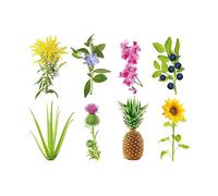 SMART PLUG SMART GARDEN Click & Grow Ricarica Capsule Kit Sperimentale - 3 pezzi, substrato Smart Soil