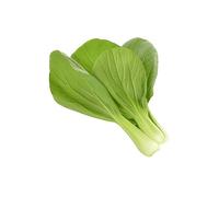 SMART PLUG SMART GARDEN Click & Grow SGR58x3 - Ricarica Pak Choi, Pianta commestibile