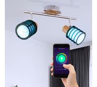 Smart RGB LED Coprire Spot Lampada Ess Camera Vetro Regolabile Google Alexa
