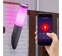 Smart RGB LED Esterno Lampada da Parete Google Alexa Inox Fiaccola Controllabile