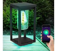 Smart RGB LED Lampada Giardino Google Alexa Nero Decorazione Steh Esterno [EEK: F]