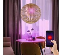 Smart RGB LED Pendolo Regolatore Sfera Coprire Lampada Bambù Appesa Luce Google [EEK: F]