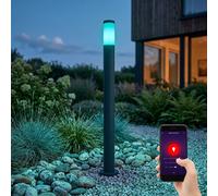 Smart RGB LED Standleuchte Dimmerabile Acciaio IP44 E27 Alexa Google App, 110 cm
