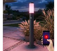 Smart RGB LED Supporto Lampada Alexa Giardino Esterno Google Movimento