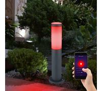 Smart RGB LED Supporto Lampada Dimmerabile Google Esterno Garten Alexa Inox App [EEK: G]