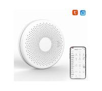 Smart Water Leak Detector, Advanced Technology for Real-Time Monitoring & Alerts, Ideal for Homes & Offices (Battery Operated, 1 Pack)