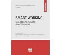Smart working. Cosa abbiamo imparato dopo l’emergenza