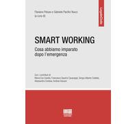 Smart working. Cosa abbiamo imparato dopo l’emergenza - 2023 - Ma