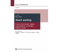 Smart working. Il lavoro che cambia: regole, organizzazione, tecnologia, impatto sociale