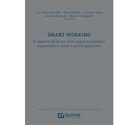 Smart working. Il rapporto di lavoro nelle nuove prospettive organizzative, diritti e profili applicativi
