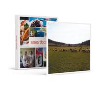 Smartbox - cofanetto regalo - Puglia in famiglia: tour guidato, laboratorio di mozzarella e momento con le mucche e degustazione finale per 2 adulti e 2 bambini - idee regalo originale