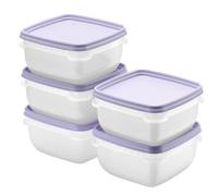 SmartStore Contenitori salvafreschezza con coperchio e organizer per frigorifero, set da 5 l, adatti per frigorifero e congelatore, senza BPA, set da congelatore