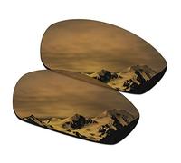 SmartVLT - Lenti di ricambio da uomo per occhiali da sole Oakley Whisker, (Polycarbonate - Ar Coated Polarized Bronze Gold), Taglia unica