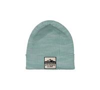 Smartwool Patch beanie Arctic green