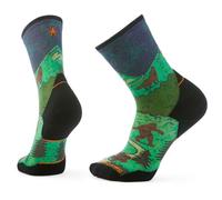Smartwool - Trail Run Targeted Cushion Neature Crew Socks - Calze da running EU 38-41 variopinto